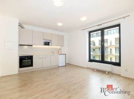 Pronájem bytu, 1+kk, 25,22 m²