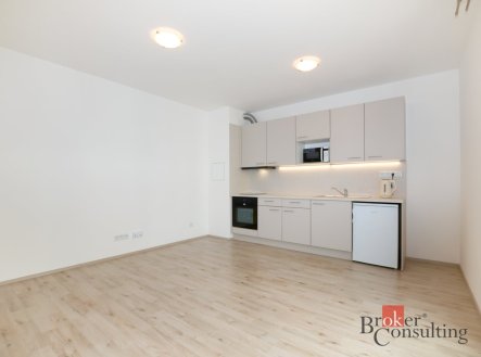 Pronájem bytu, 1+kk, 25,22 m²