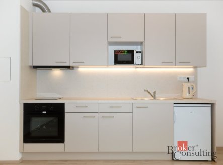 Pronájem bytu, 1+kk, 25,22 m²