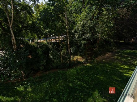 Pronájem bytu, 1+kk, 44,82 m²