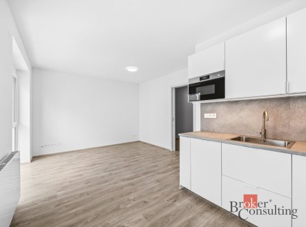 Pronájem bytu, 1+kk, 40,48 m²