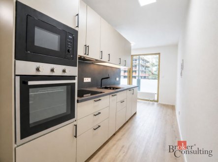 Pronájem bytu, 1+kk, 31 m²