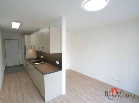 Pronájem bytu, 1+kk, 31 m²