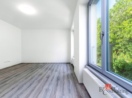 Pronájem bytu, 1+kk, 32 m²