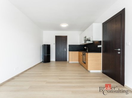 Pronájem bytu, 2+kk, 47 m²
