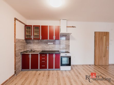 Pronájem bytu, 1+kk, 54,58 m²