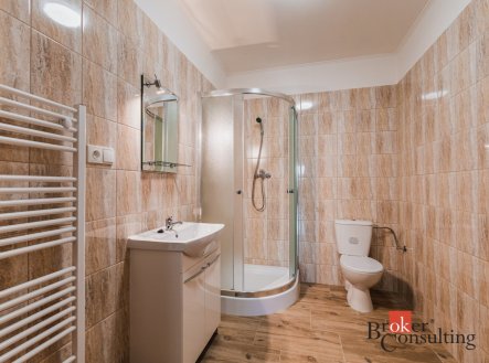 Pronájem bytu, 1+kk, 54,58 m²