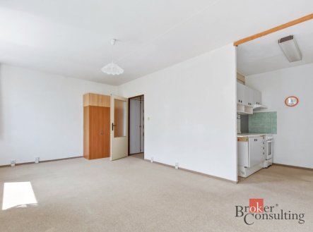 Prodej bytu, 1+kk, 33 m²