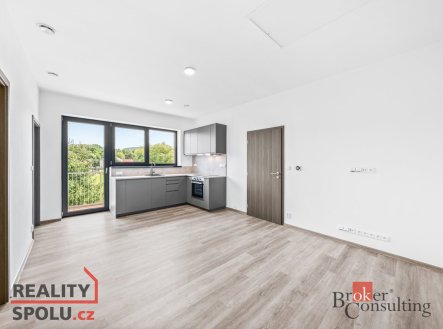 Pronájem bytu, 3+kk, 58 m²