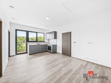 Pronájem bytu, 3+kk, 58 m²