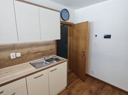 Pronájem bytu, 1+kk, 25 m²