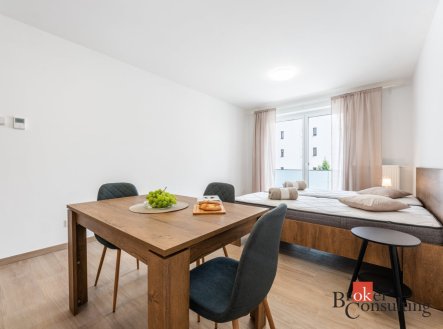 Pronájem bytu, 1+kk, 33 m²