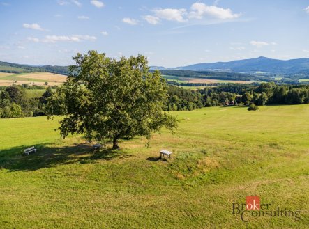 Prodej - pozemek, zemědělská půda, 11 539 m²