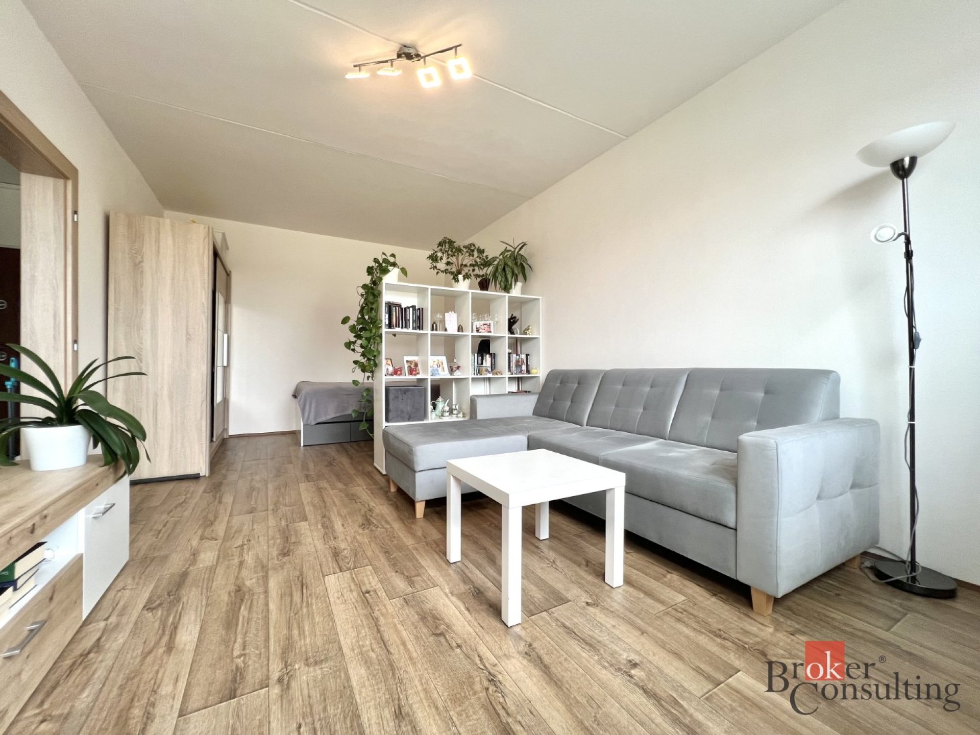Převod dr. podílu, byty/1+1, 40 m2, Smetanovy sady 1555, 43111 Jirkov, Chomutov [ID 88447]