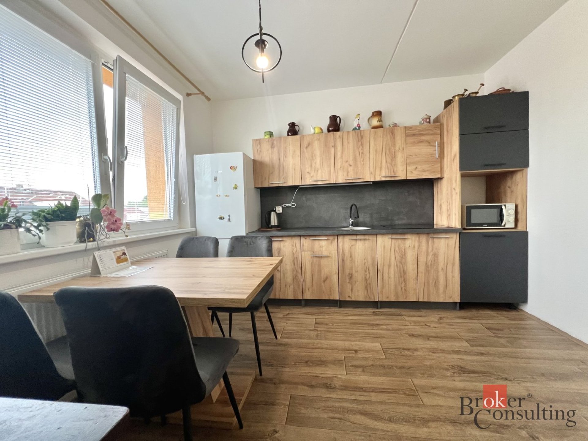 Převod dr. podílu, byty/1+1, 40 m2, Smetanovy sady 1555, 43111 Jirkov, Chomutov [ID 88447]