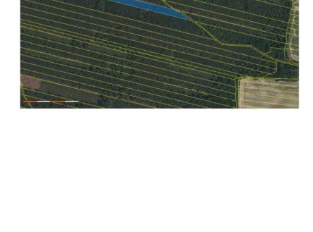Prodej pozemku, les, 32 388 m²
