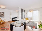 Pronájem bytu, 1+kk, 49 m²