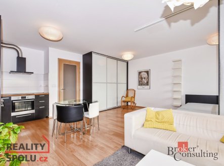 Pronájem bytu, 1+kk, 49 m²
