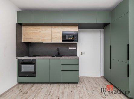 Pronájem bytu, 1+kk, 38,47 m²