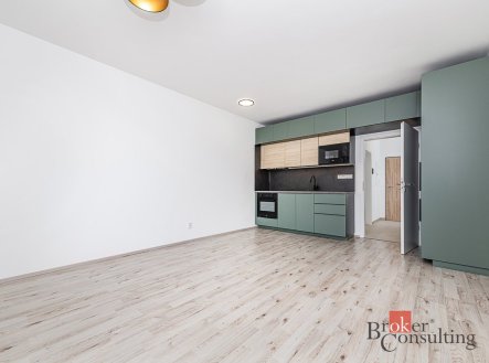 Pronájem bytu, 1+kk, 38,47 m²