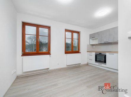 Pronájem bytu, 1+1, 64 m²