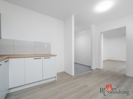 Pronájem bytu, 1+1, 64 m²