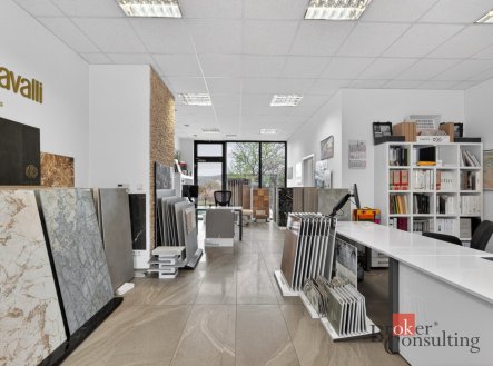 Prodej komerčního objektu, jiný, 66 m²