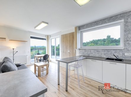 Pronájem bytu, 2+kk, 44 m²