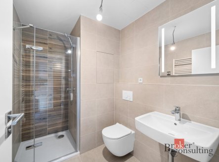 Pronájem bytu, 1+kk, 26,9 m²