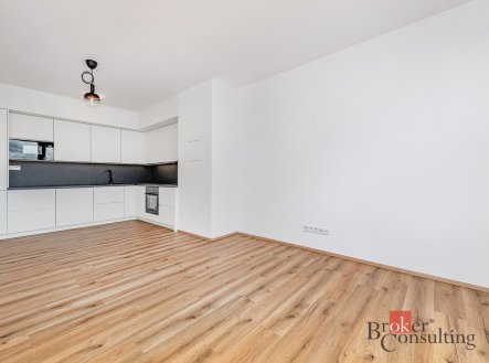 Pronájem bytu, 2+kk, 66,17 m²