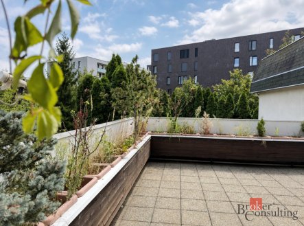 Pronájem bytu, 4+kk, 179 m²
