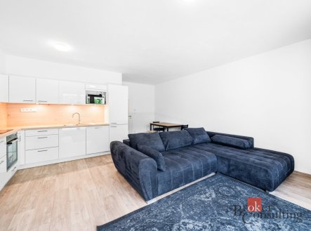 Pronájem bytu, 2+kk, 60,3 m²