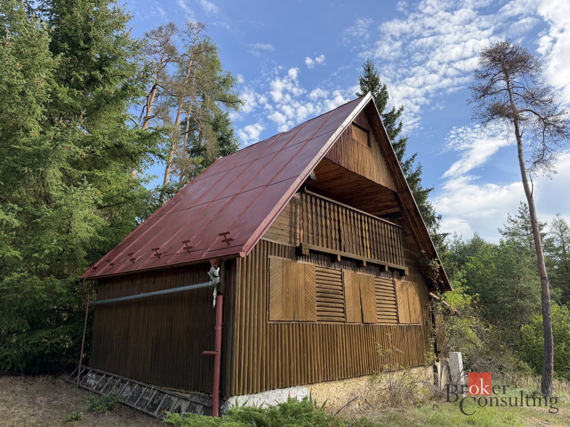 Prodej, domy/chata, 50 m2, 34901 Stříbro, Tachov [ID 89028]