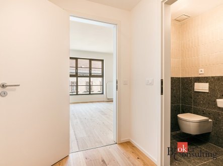 Pronájem bytu, 1+kk, 24 m²