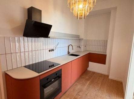 Pronájem bytu, 1+kk, 50,3 m²