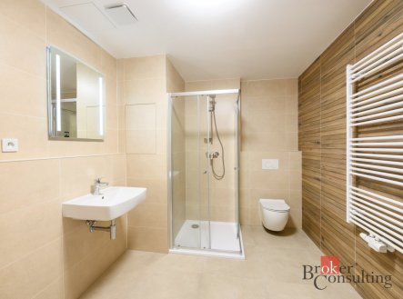 Pronájem bytu, 1+kk, 42 m²