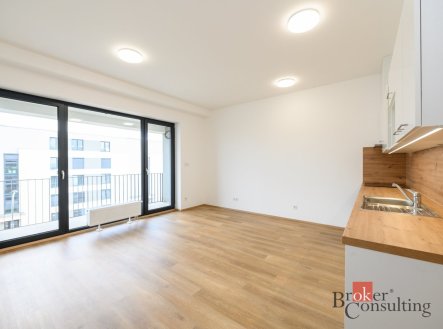 Pronájem bytu, 1+kk, 42 m²