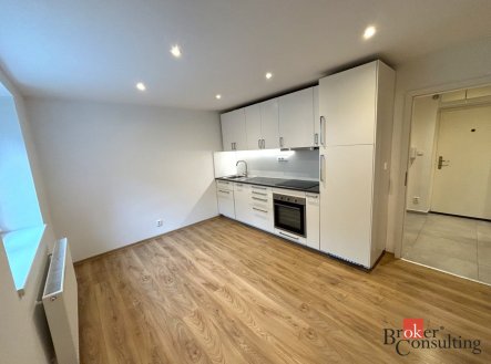 Pronájem bytu, 2+1, 48 m²