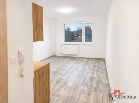 Pronájem bytu, 1+kk, 24 m²