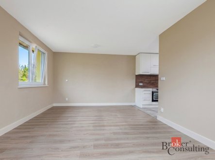 Pronájem bytu, 2+kk, 49 m²