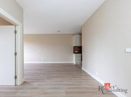 Pronájem bytu, 2+kk, 59 m²