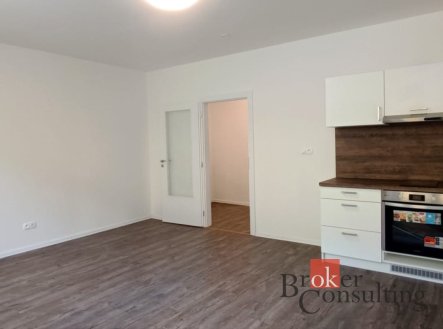 Pronájem bytu, 1+kk, 33 m²
