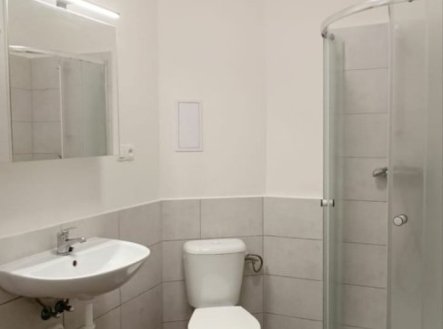 Pronájem bytu, 1+kk, 33 m²