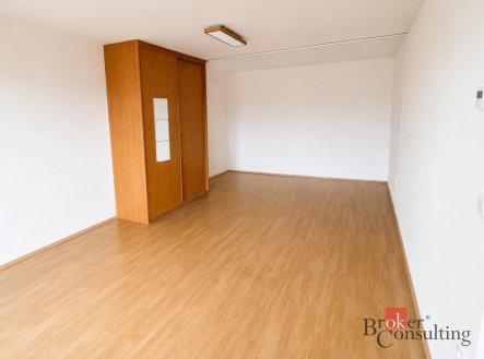 Pronájem bytu, 1+1, 52 m²