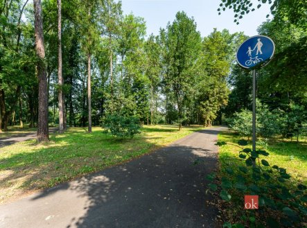 Pronájem bytu, 1+kk, 49,3 m²