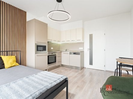 Pronájem bytu, 1+kk, 28 m²