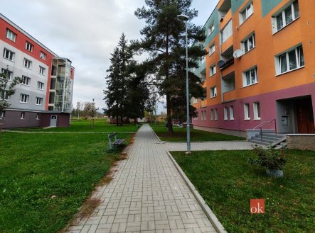 Pronájem bytu, 3+1, 70 m²