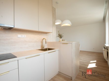 Pronájem bytu, 1+kk, 36 m²