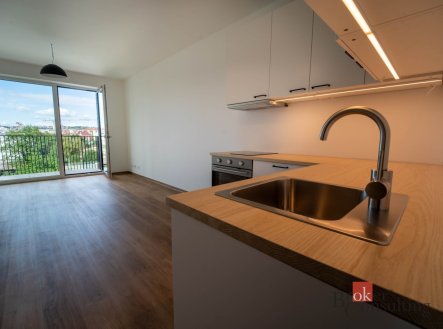 Pronájem bytu, 1+kk, 33 m²