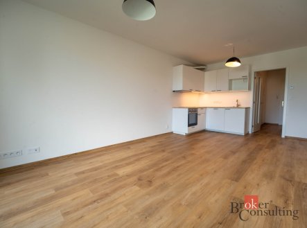 Pronájem bytu, 1+kk, 33 m²